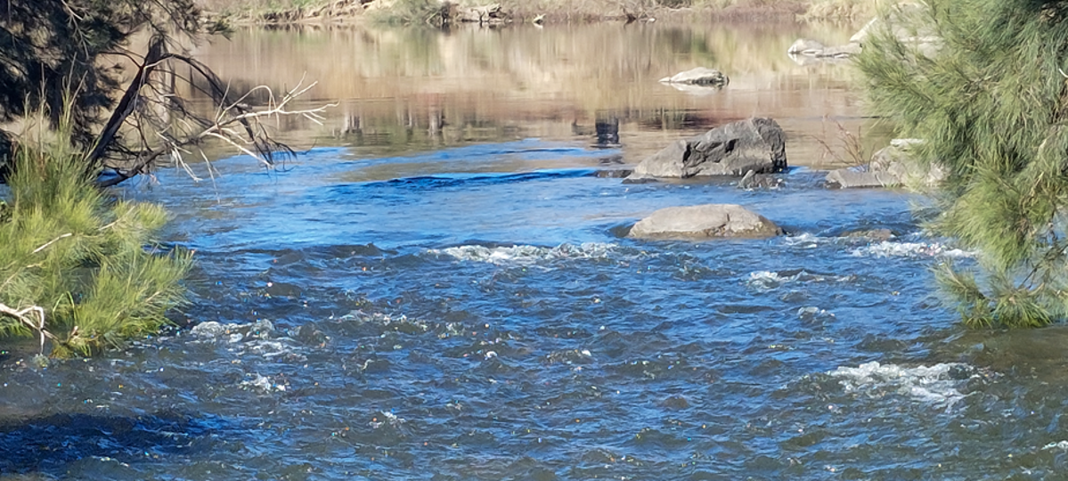 Insert image caption here!