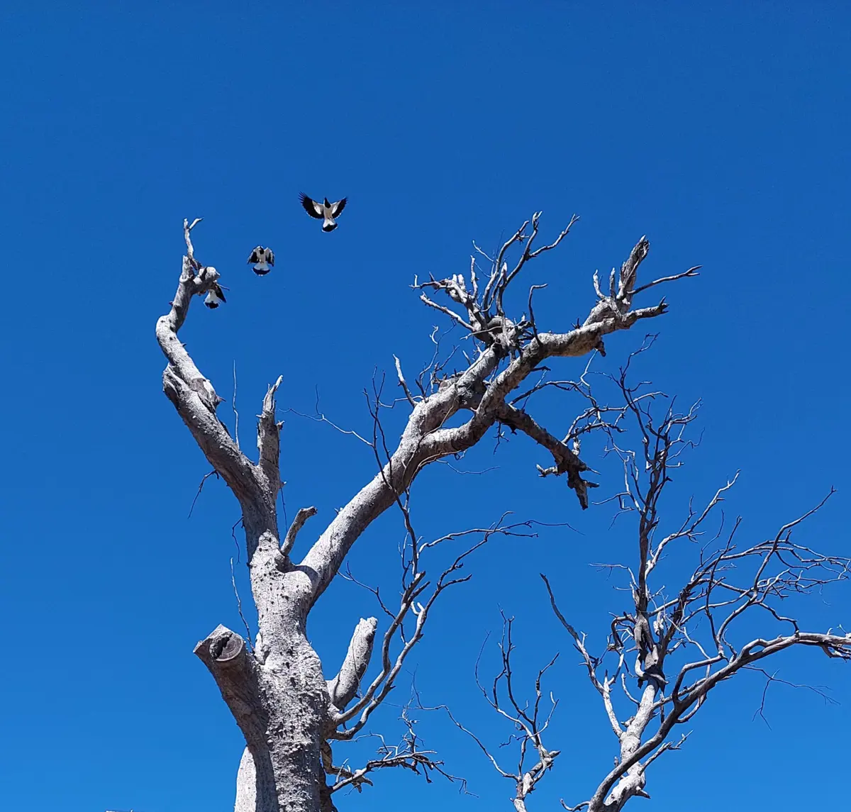 Insert image caption here!