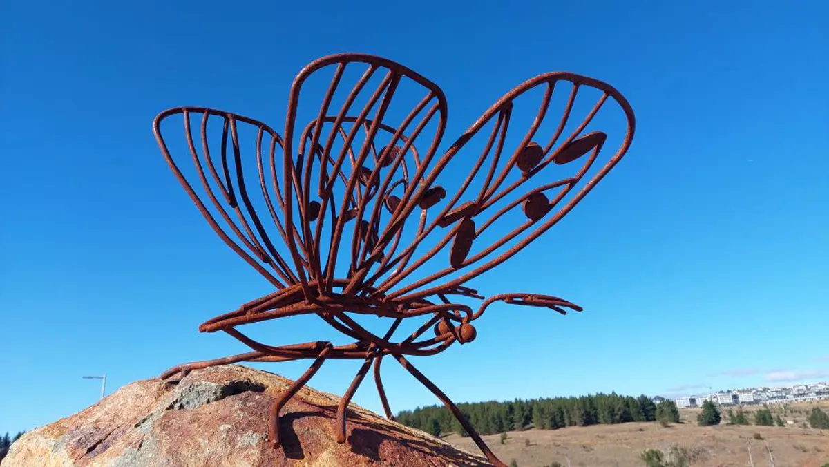 Insert image caption here!